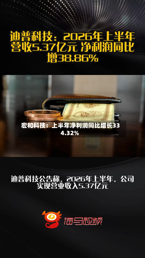 宏和科技:上半年净利润同比增长334.32%-第1张图片
