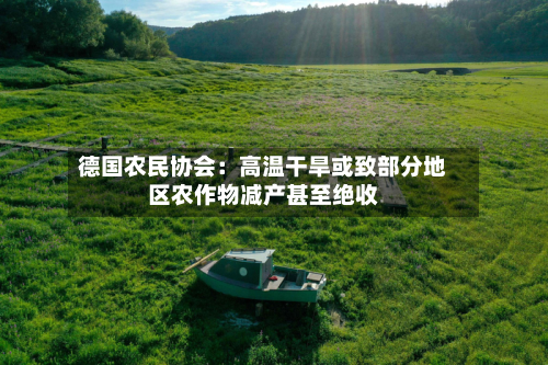 德国农民协会：高温干旱或致部分地区农作物减产甚至绝收-第3张图片