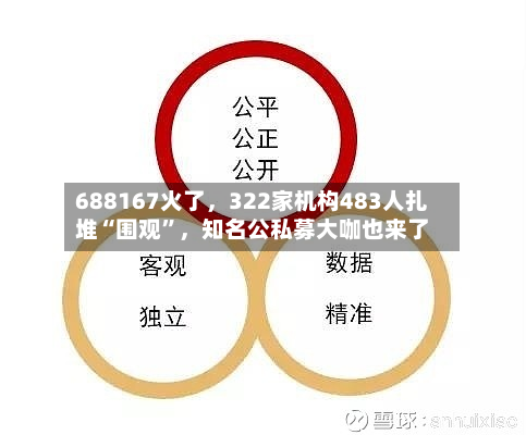 688167火了，322家机构483人扎堆“围观”，知名公私募大咖也来了-第3张图片