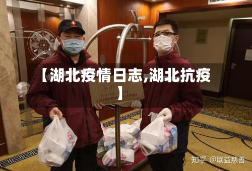 【湖北疫情日志,湖北抗疫】