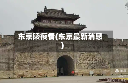 东京陵疫情(东京最新消息)-第2张图片