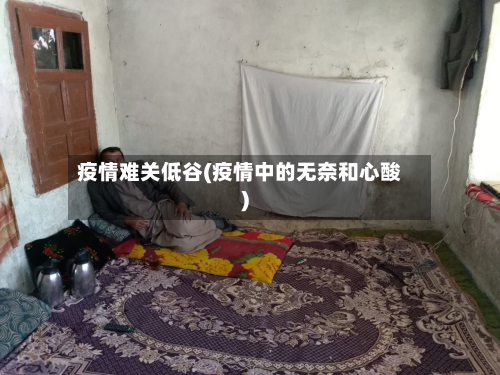 疫情难关低谷(疫情中的无奈和心酸)-第3张图片