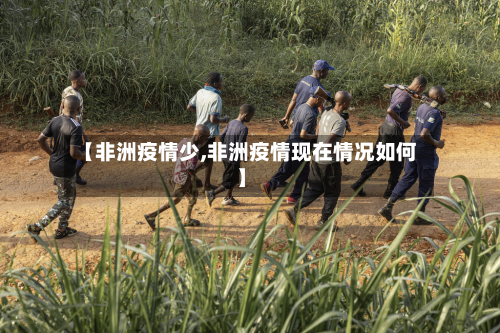 【非洲疫情少,非洲疫情现在情况如何】