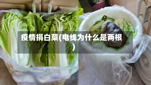 疫情捐白菜(电线为什么是两根)