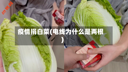 疫情捐白菜(电线为什么是两根)-第2张图片