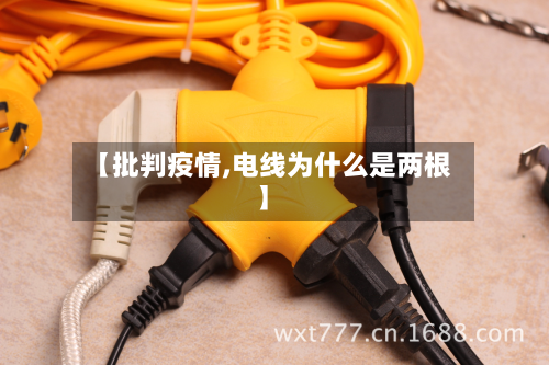 【批判疫情,电线为什么是两根】-第3张图片