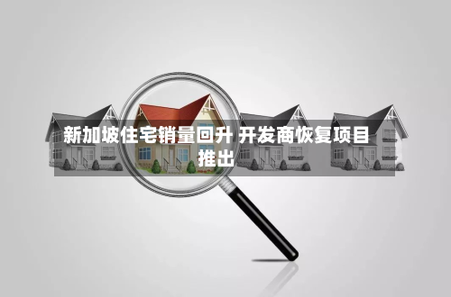新加坡住宅销量回升 开发商恢复项目推出