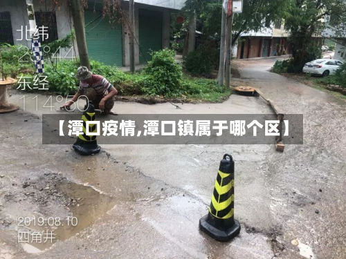 【潭口疫情,潭口镇属于哪个区】-第2张图片