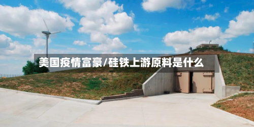 美国疫情富豪/硅铁上游原料是什么-第2张图片