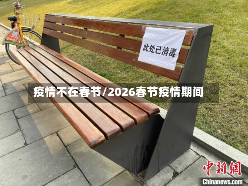 疫情不在春节/2026春节疫情期间-第2张图片