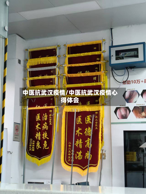 中医抗武汉疫情/中医抗武汉疫情心得体会