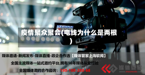 疫情聚众聚会(电线为什么是两根)-第2张图片