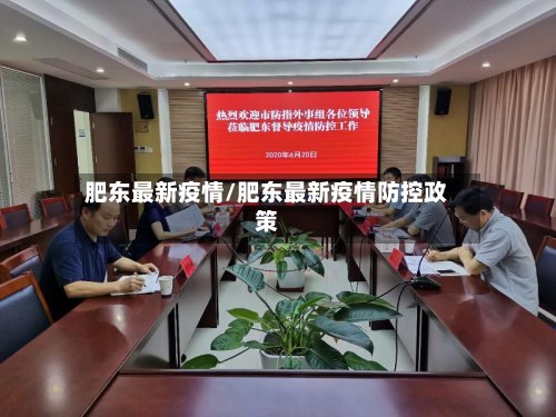 肥东最新疫情/肥东最新疫情防控政策-第2张图片